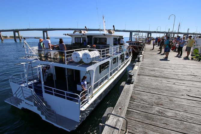 Cape Woolamai Sightseeing Cruise from San Remo - Tea, Cake, and the Family-Friendly Pace
