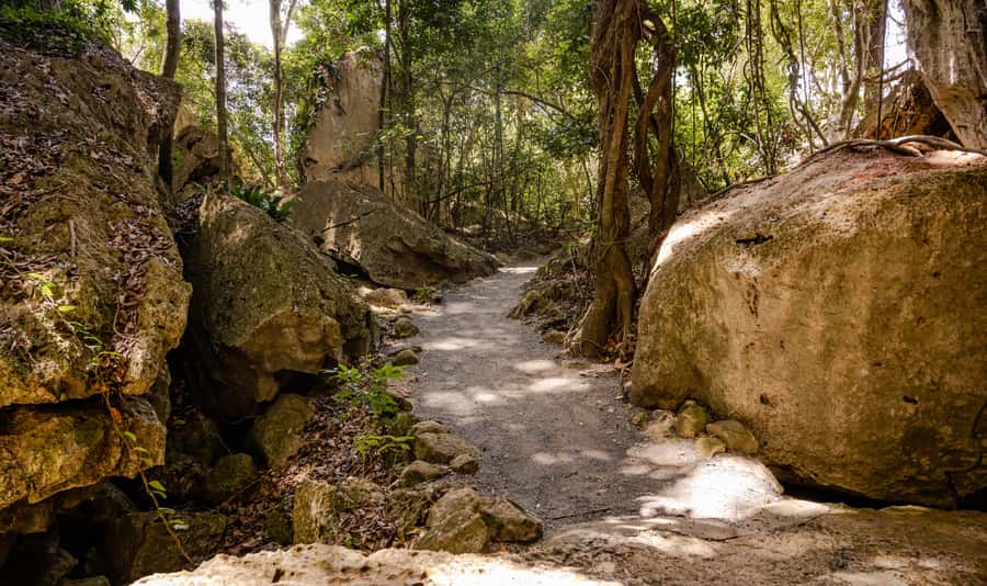 Capricorn Caves, Australia: 45-Minute Cathedral Cave Tour - Why Capricorn Caves makes a good Rockhampton stop