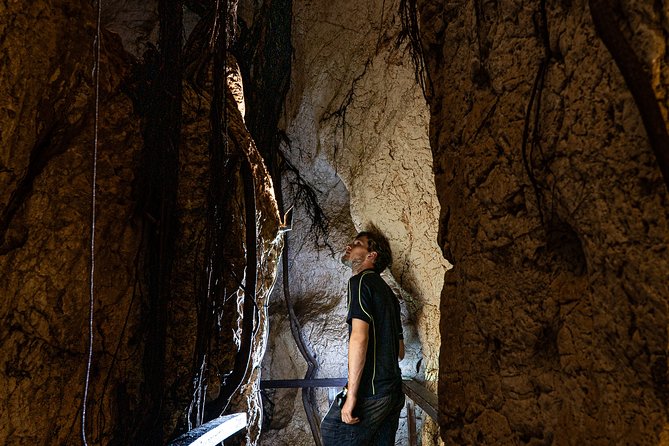 Capricorn Caves Cathedral Cave Tour - A comfortable cave climate at 22°C