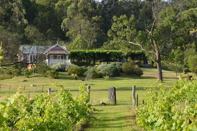 Chef-Led Hunter Valley Gourmet Food and Wine Day Tour from Sydney - The Hawkesbury River break and seafood connection