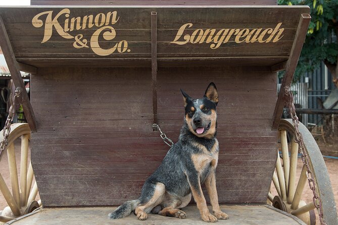 Cobb & Co Stagecoach Experience in Longreach - A classic bush movie in old canvas seating