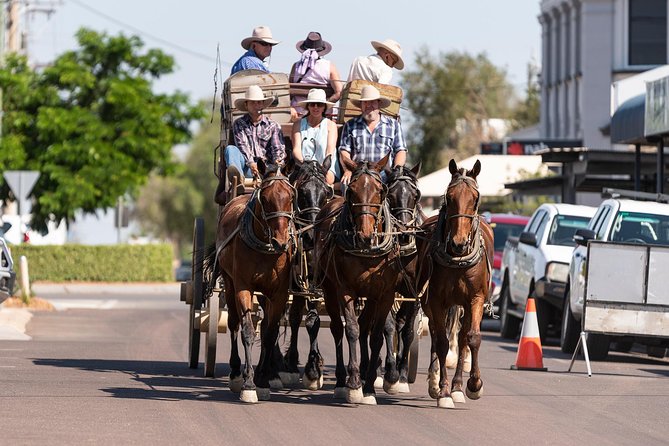Cobb & Co Stagecoach Experience in Longreach - What the hosts add to the day