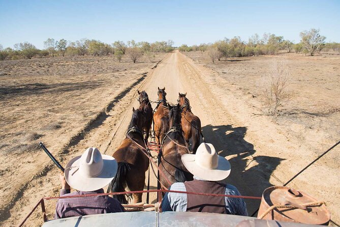 Cobb & Co Stagecoach Experience in Longreach - Practical details for a smoother visit