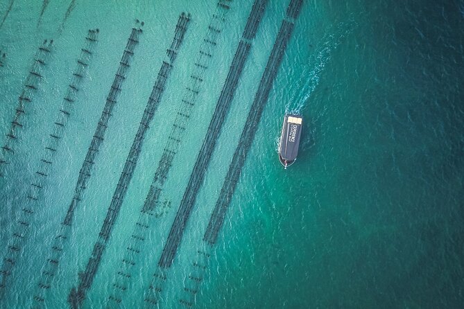Coffin Bay Day Tour - A Taste of Coffin Bay - Key points at a glance