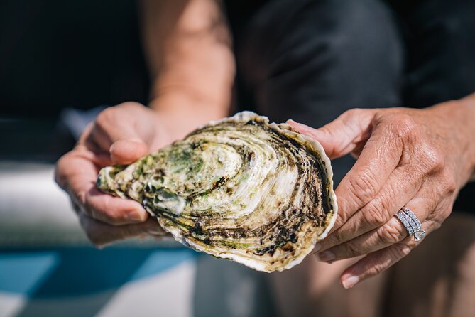 Coffin Bay Day Tour - A Taste of Coffin Bay - Seafood lunch at Oyster HQ