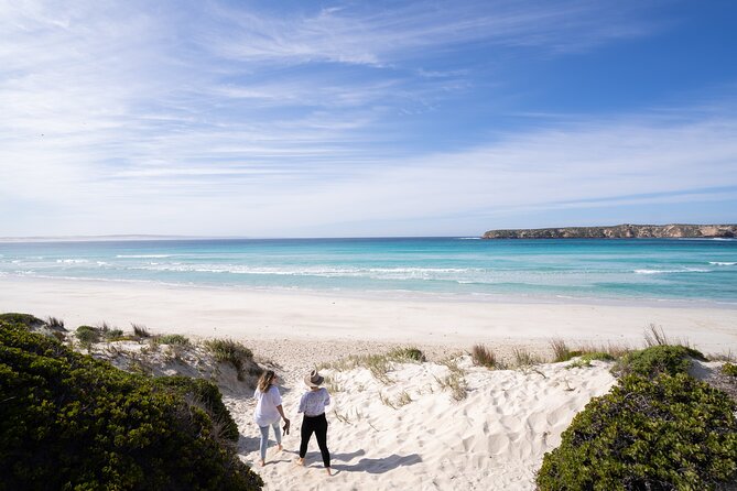 Coffin Bay Day Tour - A Taste of Coffin Bay - Meeting Coffin Bay oyster farmers