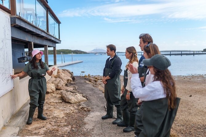 Coffin Bay Oyster Farm Wading Tour & Tasting Experience - Learning to shuck without losing a finger