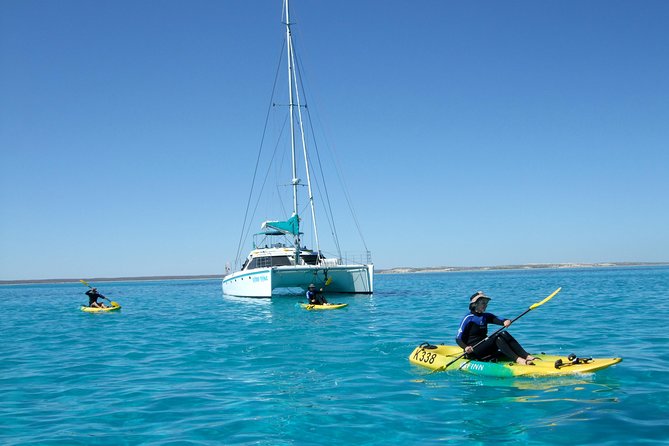 Coral Bay: 2-Hour Coral Viewing and Snorkeling - First snorkeling site: conditions can change the experience