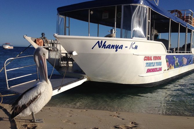 Coral Bay 3-Hour Turtle Ecotour - Who should book the Coral Bay Turtle Ecotour?