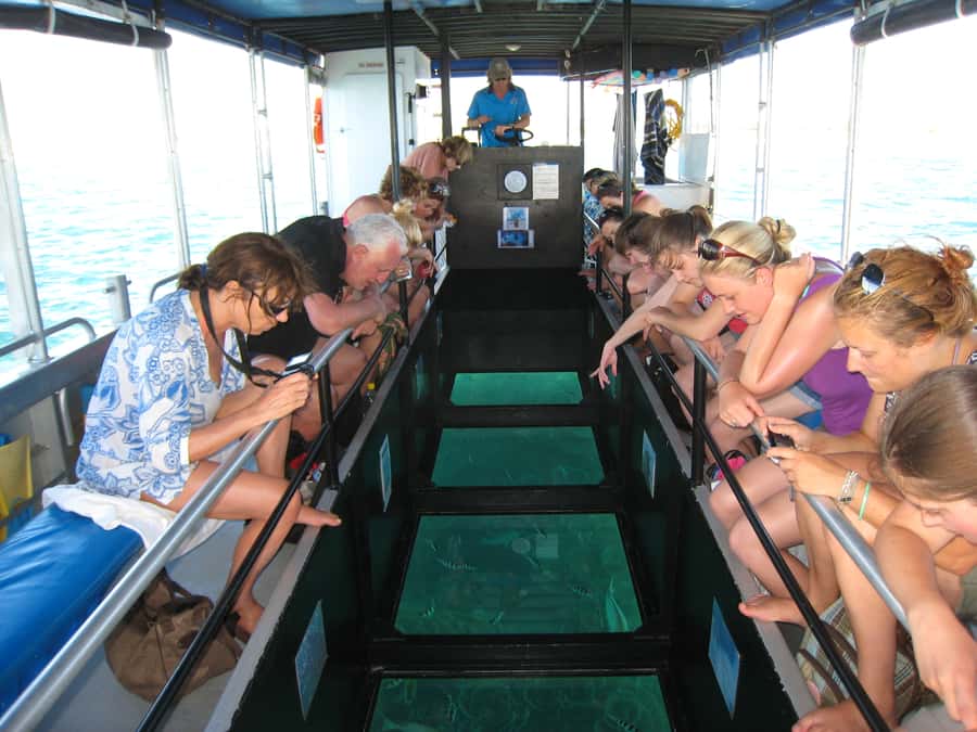 Coral Bay Glass-Bottom Boat Tour - Key points to know before booking