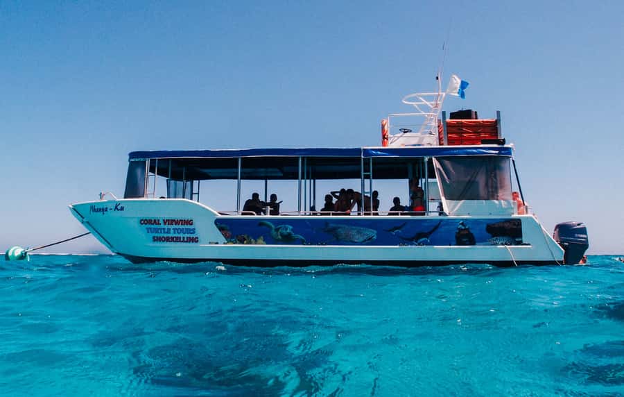 Coral Bay Glass-Bottom Boat Tour - Why Coral Bay is a fine place to see Ningaloo Reef