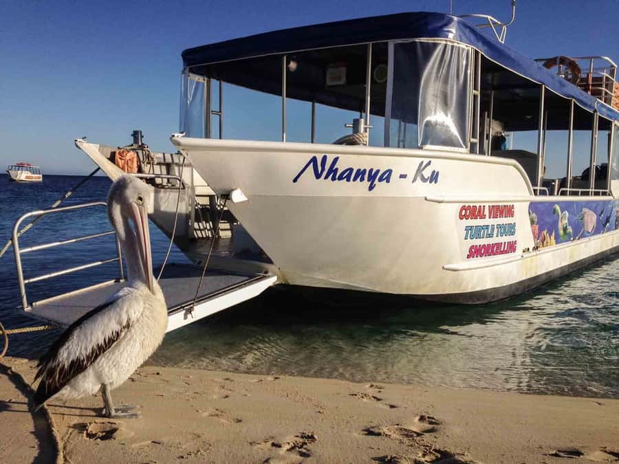 Coral Bay Glass-Bottom Boat Tour - Meeting the crew at 30 Robinson Street