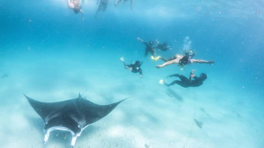 Coral Bay: Marine Eco Safari - Swim With Manta Rays - Morning tea before the manta search
