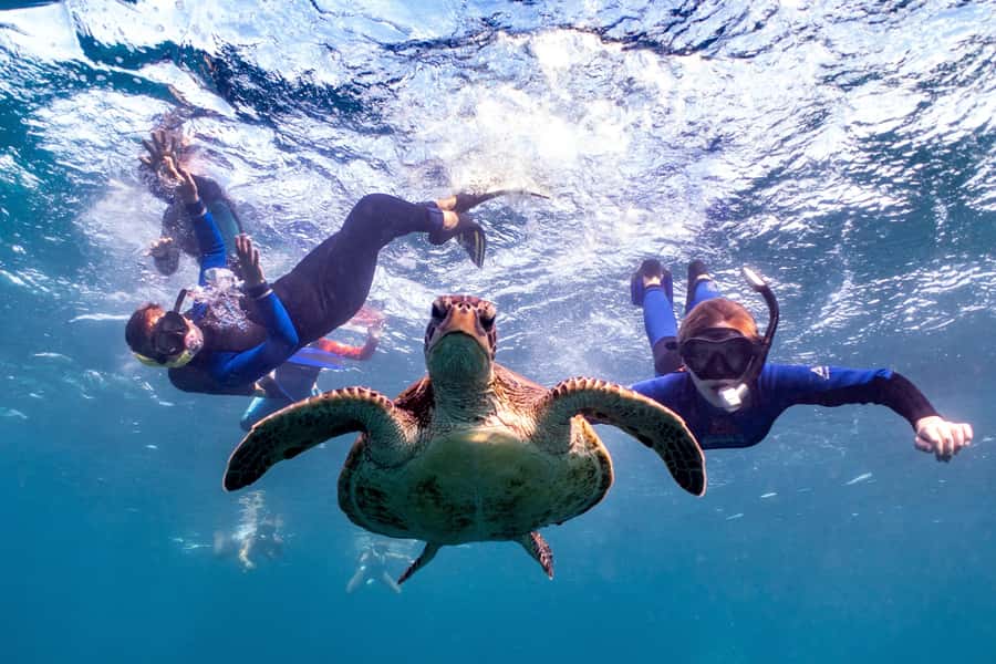 Coral Bay: Marine Eco Safari - Swim With Manta Rays - First snorkel in Bills Bay