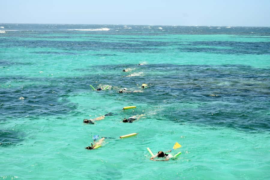 Coral Bay: Ningaloo Reef 3-Hour Turtle Ecotour - A gentle introduction to Ningaloo Reef