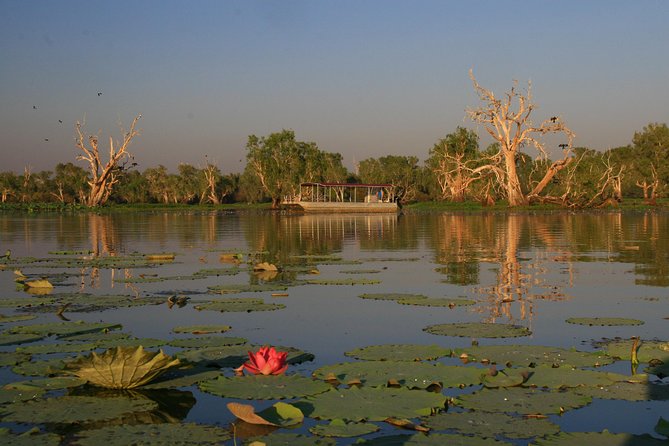 Corroboree Billabong Wetland Cruises - 2 hour Sunset Cruise - Why Corroboree Billabong Is Worth the Drive