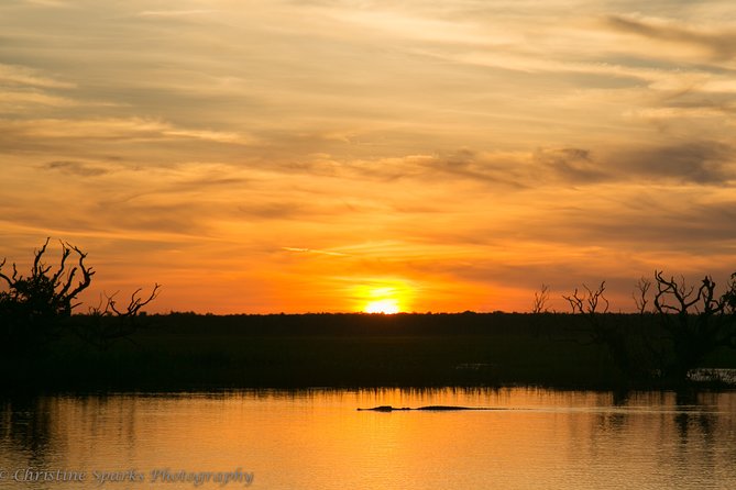 Corroboree Billabong Wetland Cruises - 2 hour Sunset Cruise - Sunset Photography on the Billabong