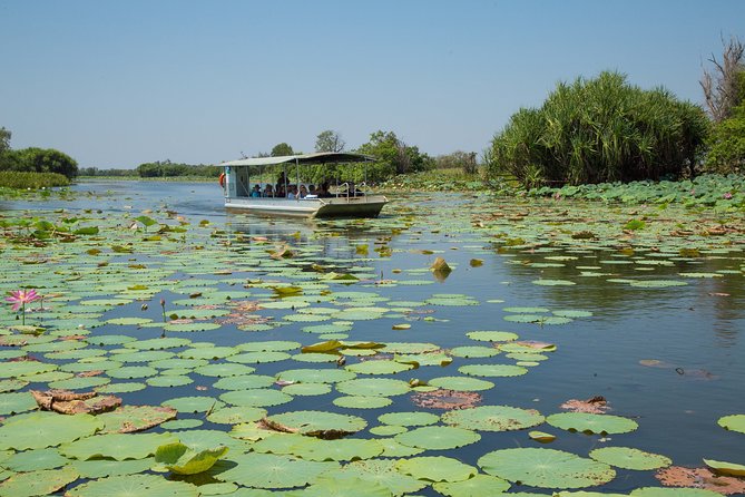 Corroboree Billabong Wetland Cruises - 2 hour Sunset Cruise - What You See from the Boat