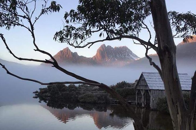 Cradle Mountain Day Tour from Launceston Including Lunch - Cradle Mountain National Park from 10:30 am to 3:00 pm