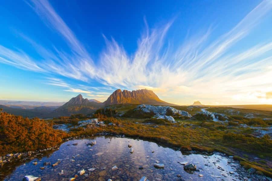 Cradle Mountain: Day Trip from Launceston with Lunch - Key points to know before booking