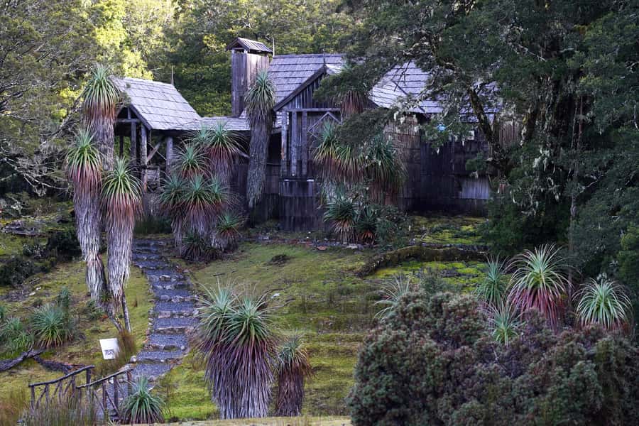 Cradle Mountain: Day Trip from Launceston with Lunch - Why this Cradle Mountain day trip works