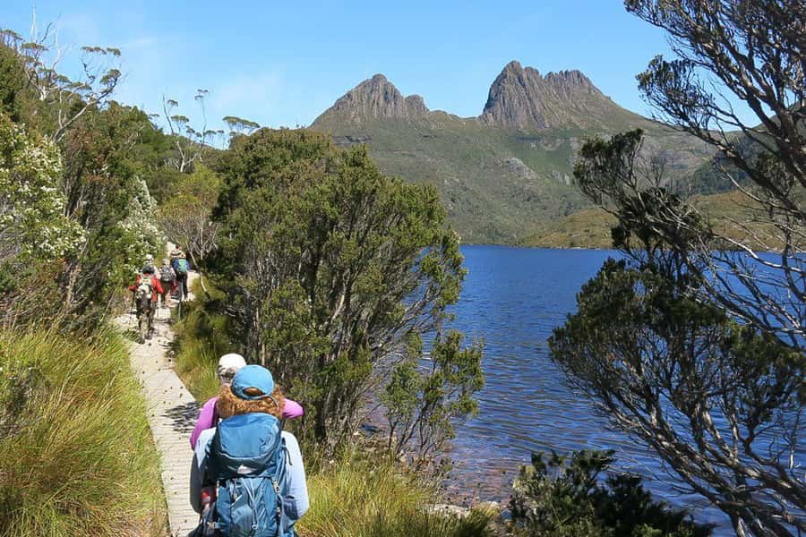 Cradle Mountain: Day Trip from Launceston with Lunch - Sheffield, the Town of Murals