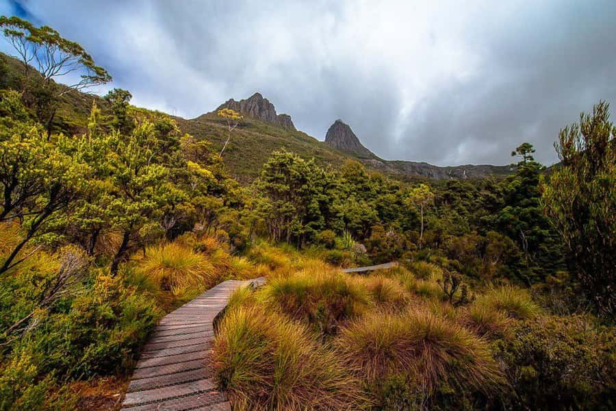 Cradle Mountain: Day Trip from Launceston with Lunch - The 7:30am pickup in Launceston