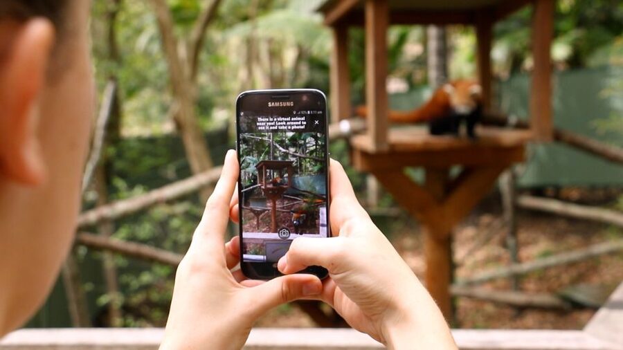Currumbin Wildlife Sanctuary Entry Ticket - How to get the most from one day