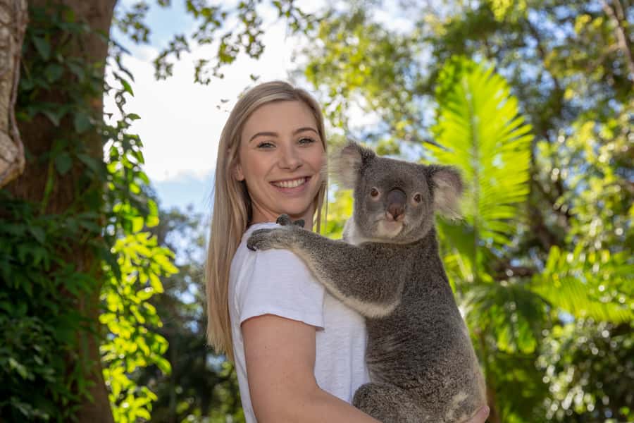 Currumbin Wildlife Sanctuary Entry Ticket - Starting at 28 Tomewin Street in Currumbin