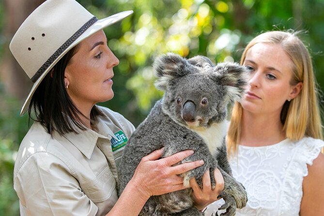 Currumbin Wildlife Sanctuary General Entry Ticket - Food, transport, and getting around the park