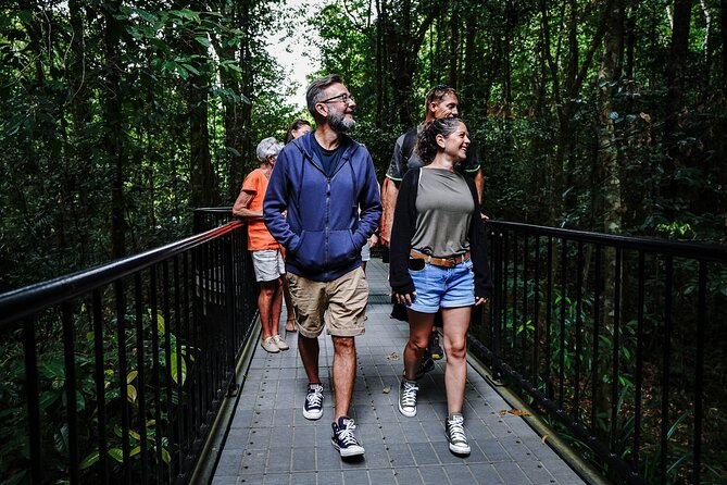 Daintree, Cape Tribulation & River Cruise from Port Douglas - A short boardwalk lesson in Daintree National Park