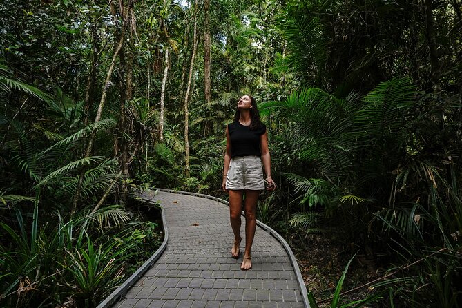 Daintree, Cape Tribulation & River Cruise from Port Douglas - Cape Tribulation and the rainforest-meets-reef setting