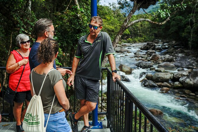 Daintree, Cape Tribulation & River Cruise from Port Douglas - The small group is personal, but the van matters