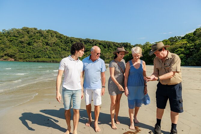 Daintree Rainforest and Cape Tribulation Day Tour from Cairns - Why this 12-hour Daintree tour works