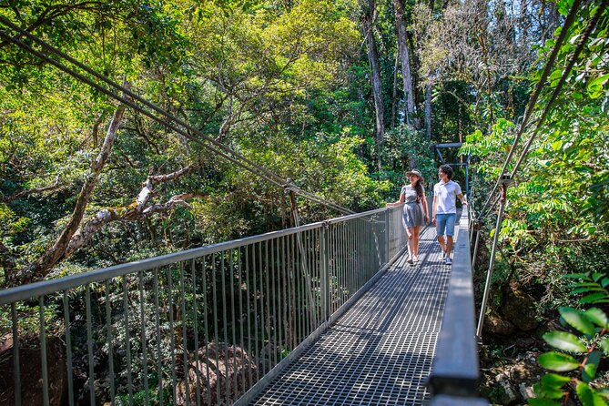 Daintree Rainforest and Cape Tribulation Day Tour from Cairns - Alexandra Lookout delivers the big final view
