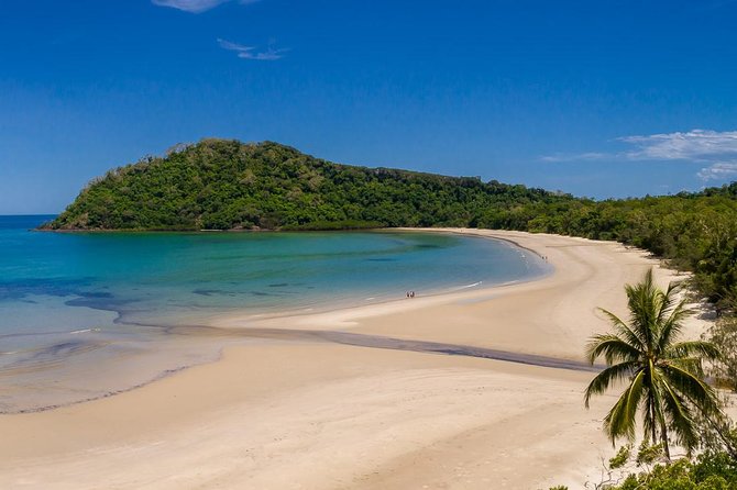 Daintree Rainforest and Cape Tribulation Day Tour from Cairns - The ferry crossing is short but essential