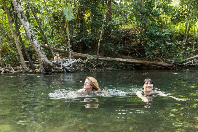 Daintree Rainforest and Cape Tribulation Full Day Tour - Mount Alexandra and the first big view