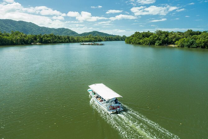 Daintree Rainforest and Cape Tribulation Full Day Tour - Lunch in the Daintree region