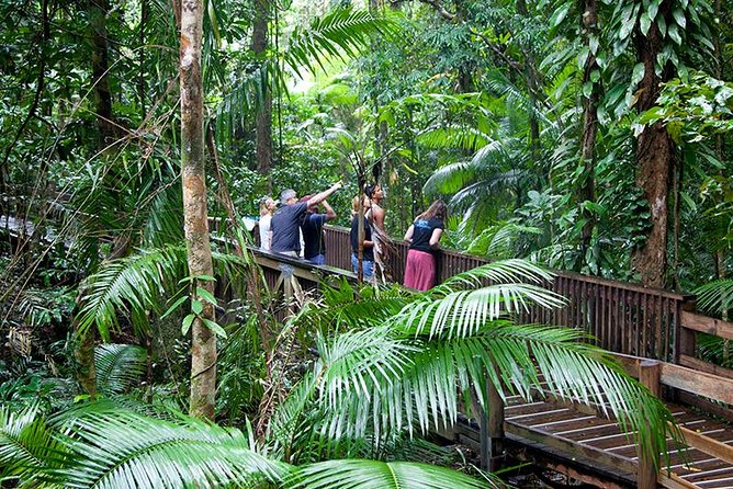 Daintree Rainforest and Mossman Gorge: Full Day Tour - Key Points at a Glance