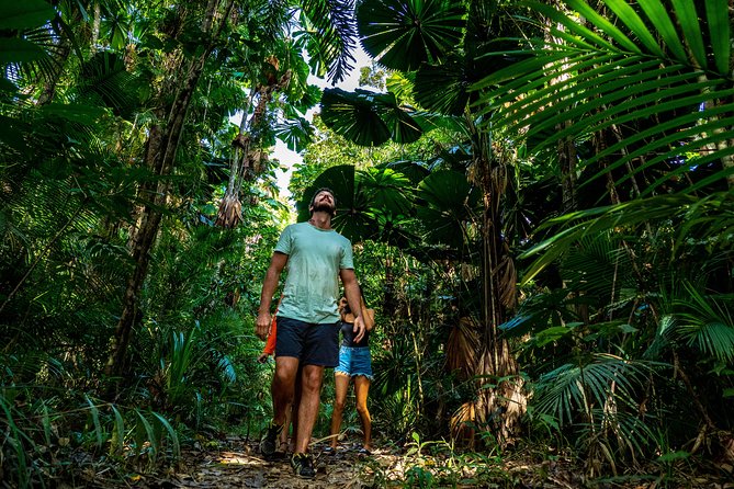 Daintree Rainforest and Mossman Gorge: Full Day Tour - Marrdja Botanical Walk, Where Details Matter