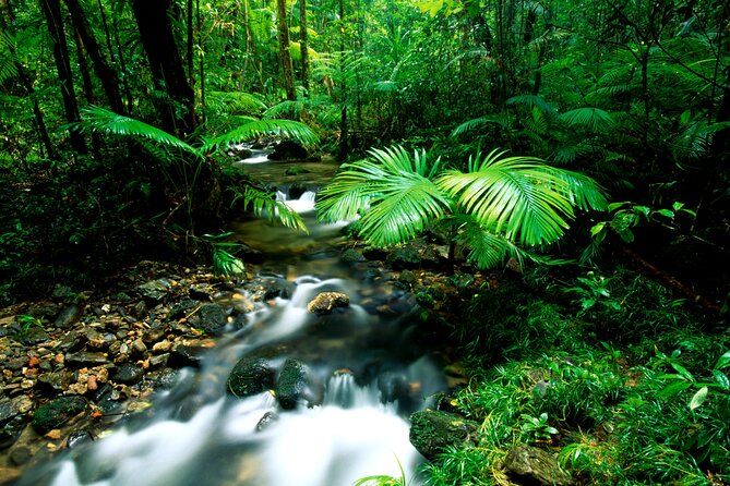Daintree Rainforest, Mossman Gorge Small-Group from Port Douglas - The Daintree Ice Cream Company is a tasty extra