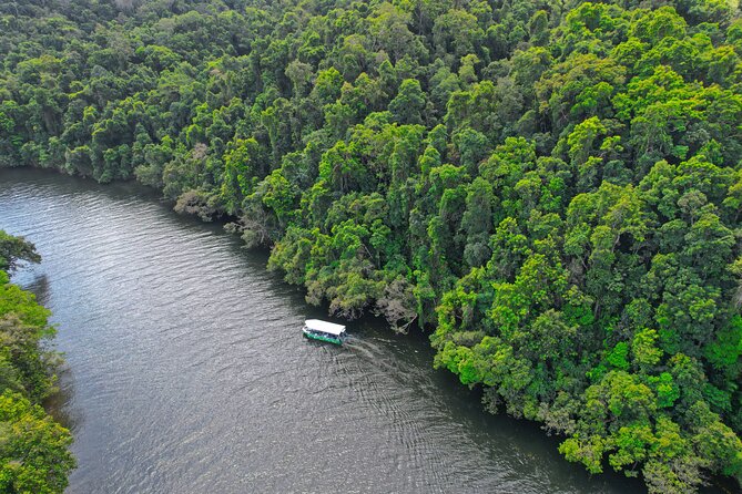 Daintree River Cruise - Starting at Daintree Village on the upper river