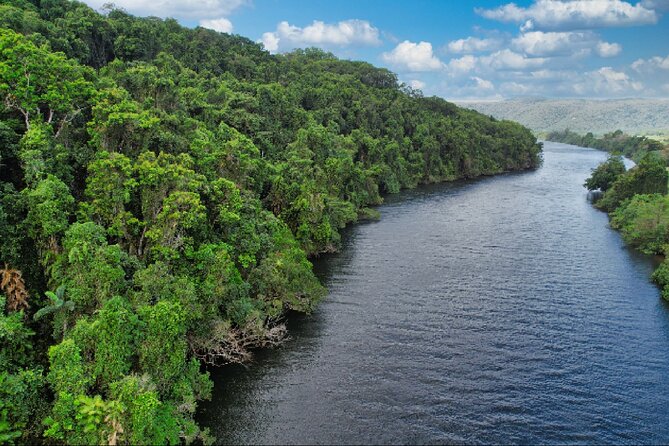 Daintree River Cruise - Booking and finding the correct meeting point