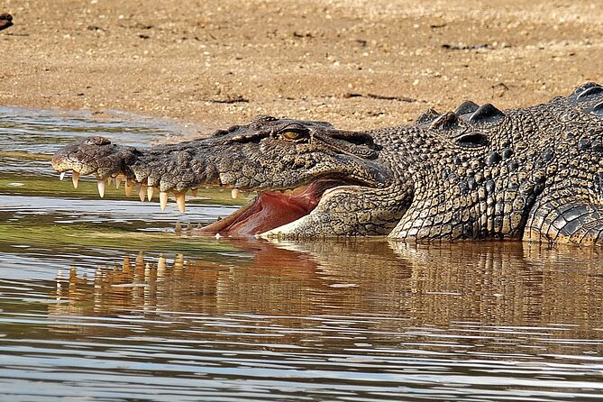 Daintree River Cruise - The Daintree Gateway route and Thornton Peak views