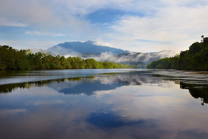 Daintree River 'Dawn' Cruise with the Daintree Boatman - Wildlife watching depends on a sharp-eyed guide