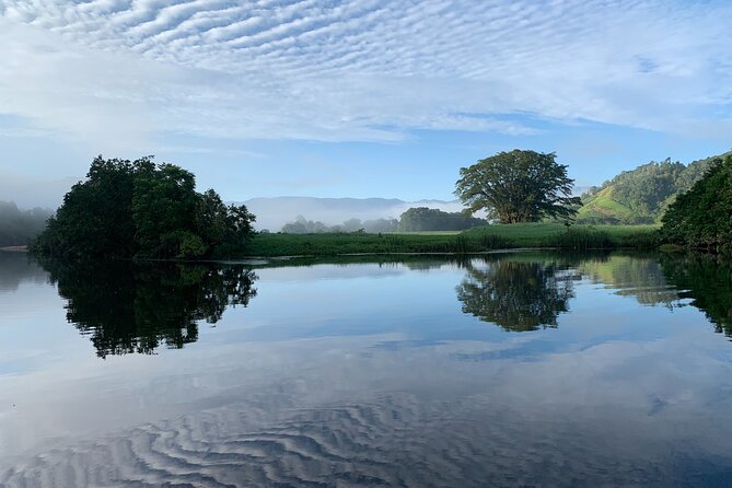 Daintree River 'Dawn' Cruise with the Daintree Boatman - The value of $51.64 per person