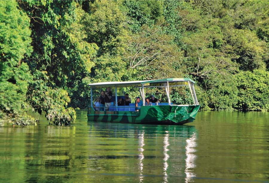 Daintree: River Rainforest Crocodile & Wildlife Cruise (DV) - The Lower Daintree route near the ferry
