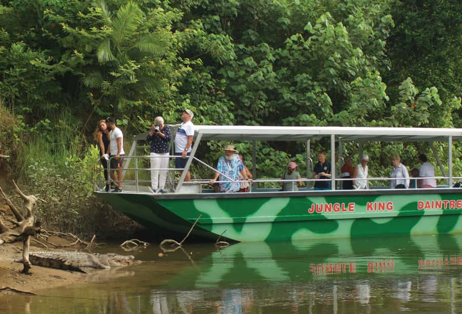 Daintree: River Rainforest Crocodile & Wildlife Cruise (DV) - What you may actually see