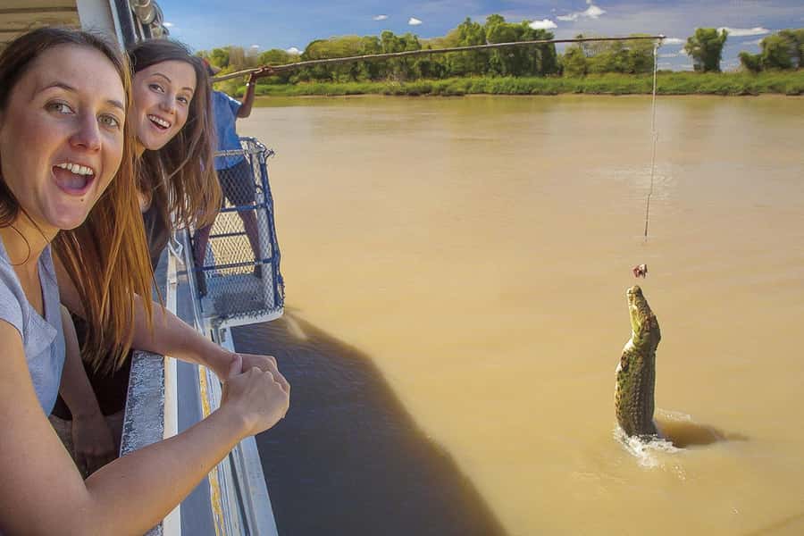 Darwin: Adelaide River Half-Day Jumping Crocs Cruise - Key points at a glance