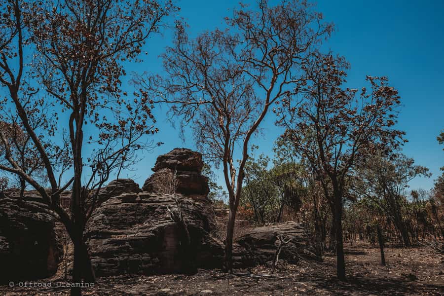 Darwin: Kakadu National Park Day Tour with Lunch - Lunch, snacks, and the practical details that matter
